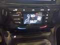 Lancia Ypsilon Ypsilon 1.0 FireFly 5 porte S&S Hybrid Platino Grau - thumbnail 12