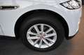 Jaguar F-Pace 20d Portfolio AWD Aut. Bi-Xenon~ACC~AHK Blanc - thumbnail 19