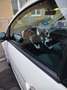 Ford Ka/Ka+ Ka 1.2 Neu TÜV - thumbnail 1