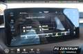 Skoda Fabia 1.0 TSI DSG Selection PANO NAVI KESSY LED Grau - thumbnail 25