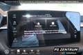 Skoda Fabia 1.0 TSI DSG Selection PANO NAVI KESSY LED Grau - thumbnail 26