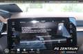 Skoda Fabia 1.0 TSI DSG Selection PANO NAVI KESSY LED Grau - thumbnail 29