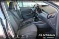 Skoda Fabia 1.0 TSI DSG Selection PANO NAVI KESSY LED Grau - thumbnail 19