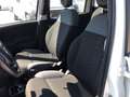 Fiat Panda 3ª serie - Panda 1.2 Easy Alb - thumbnail 18