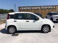 Fiat Panda 3ª serie - Panda 1.2 Easy Alb - thumbnail 4