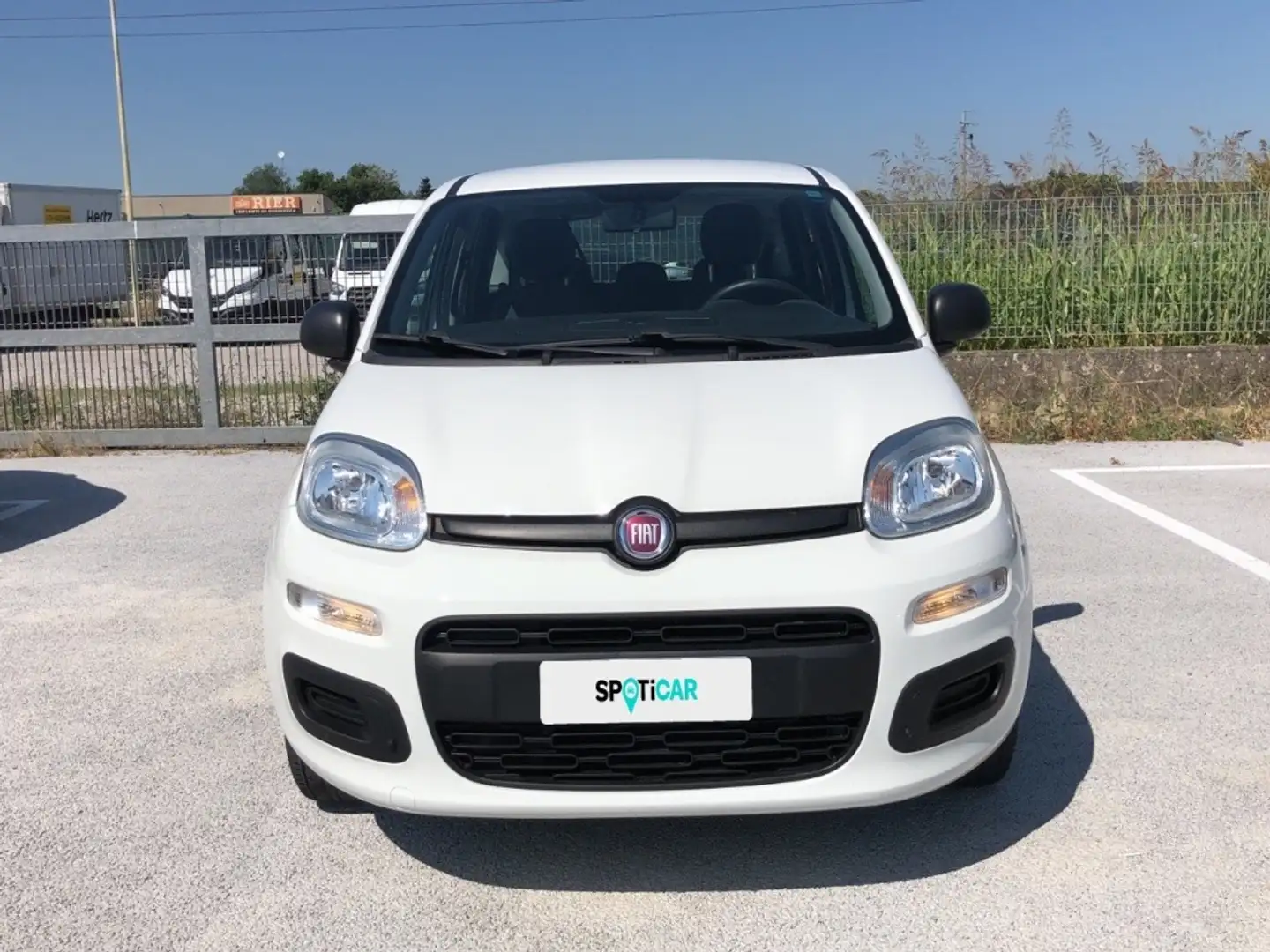Fiat Panda 3ª serie - Panda 1.2 Easy Alb - 2