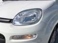 Fiat Panda 3ª serie - Panda 1.2 Easy Alb - thumbnail 8