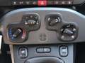 Fiat Panda 3ª serie - Panda 1.2 Easy Alb - thumbnail 14