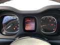 Fiat Panda 3ª serie - Panda 1.2 Easy Alb - thumbnail 12