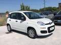 Fiat Panda 3ª serie - Panda 1.2 Easy Alb - thumbnail 3