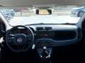 Fiat Panda 3ª serie - Panda 1.2 Easy Alb - thumbnail 10