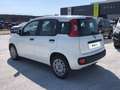 Fiat Panda 3ª serie - Panda 1.2 Easy Alb - thumbnail 6