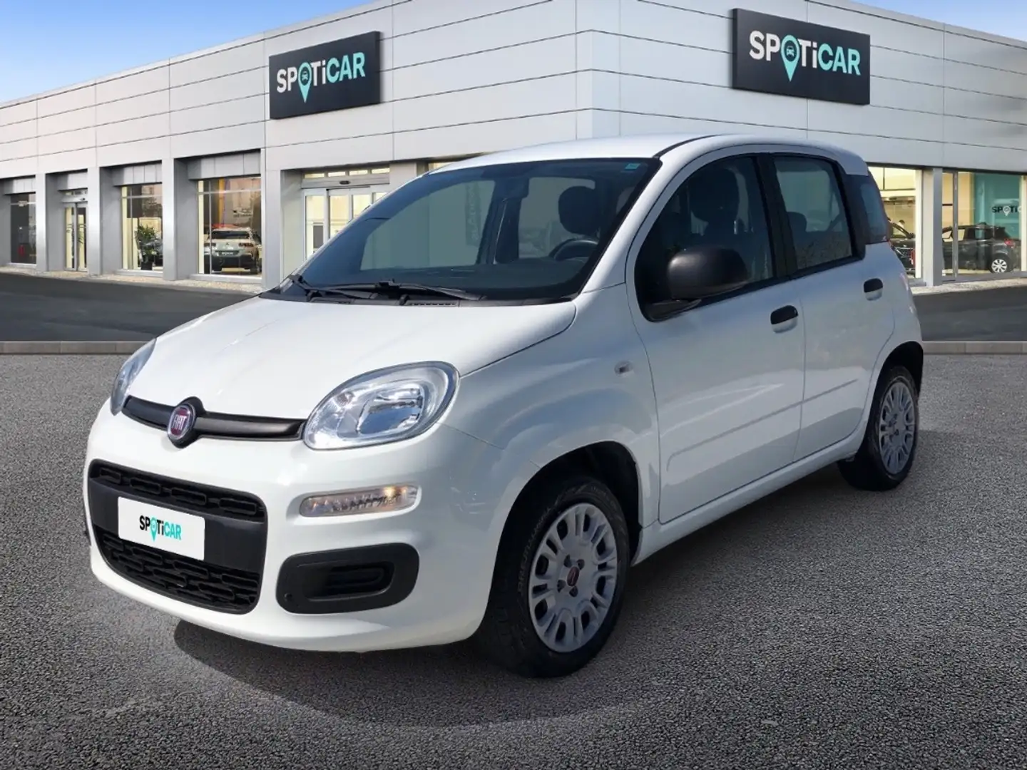 Fiat Panda 3ª serie - Panda 1.2 Easy Biały - 1