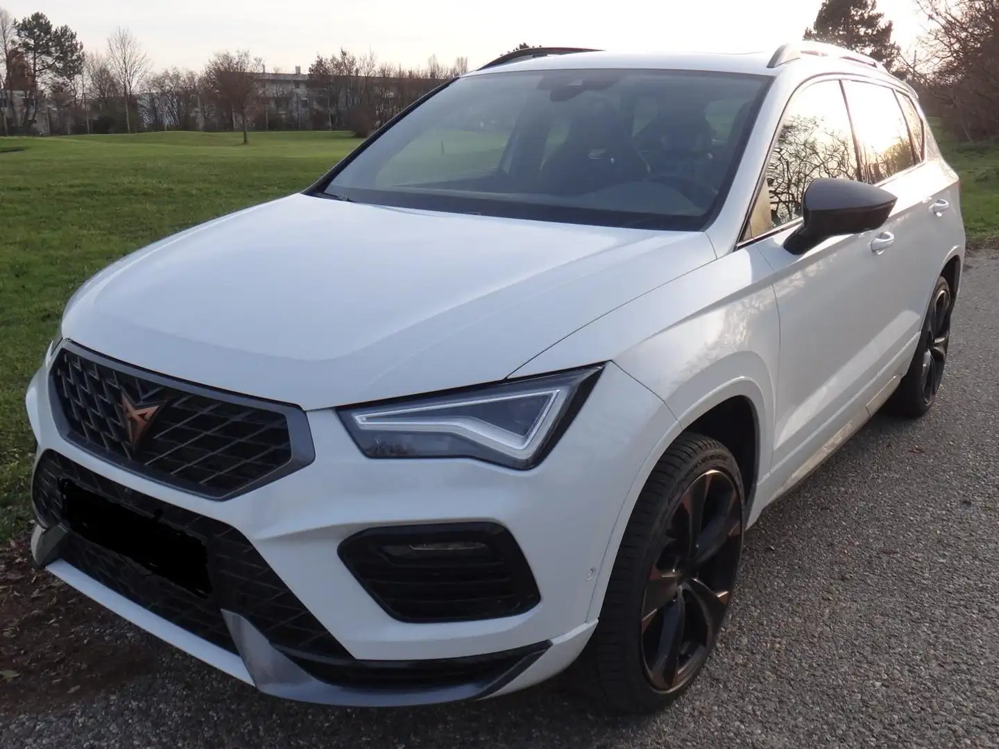 CUPRA Ateca Ateca 1.5 TSI DSG 150 Weiß - 1