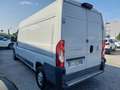 Fiat Ducato 33 2.3 MJT 130CV PLM-TA  Furgone EURO 6B Blanc - thumbnail 3