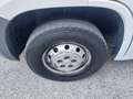 Fiat Ducato 33 2.3 MJT 130CV PLM-TA  Furgone EURO 6B Blanc - thumbnail 14