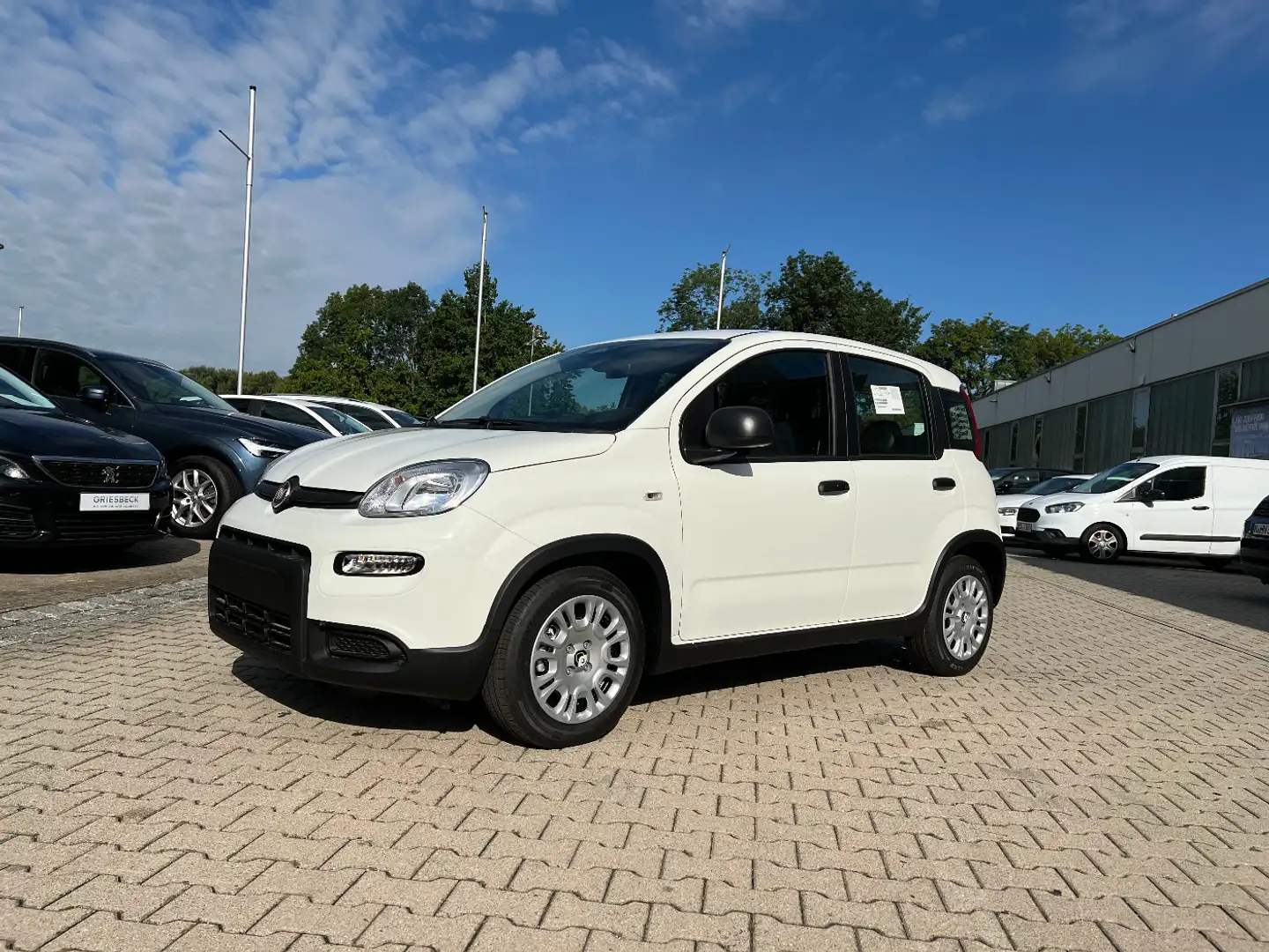 Fiat Panda Neues Modell 1.0 *5 Sitzer Klima PDC DAB* Weiß - 1