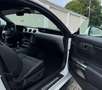 Ford Mustang 2.3 Eco Boost Weiß - thumbnail 4