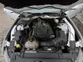 Ford Mustang 2.3 Eco Boost Weiß - thumbnail 11