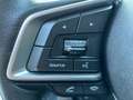 Subaru OUTBACK Outback 2,5i Premium AWD CVT Blau - thumbnail 21