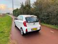 Kia Picanto 1.0 CVVT Summer Edition|Airco|NAP|NW APK| Blanc - thumbnail 4