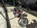 Suzuki Intruder C 800, MOTORE REVISIONATO! Rouge - thumbnail 5