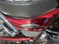 Suzuki Intruder C 800, MOTORE REVISIONATO! Rouge - thumbnail 7