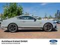 Ford Mustang Mach 1 5.0 Ti-VCT V8 EU6d Grijs - thumbnail 8