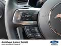 Ford Mustang Mach 1 5.0 Ti-VCT V8 EU6d Grijs - thumbnail 24