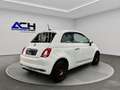 Fiat 500 1.2 Collezione NAVI*PDC*PANO*GARANTIE Weiß - thumbnail 13