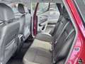Renault Kadjar Kadjar 1.5 dci energy Intens 110cv Rouge - thumbnail 12