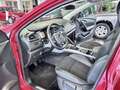 Renault Kadjar Kadjar 1.5 dci energy Intens 110cv Rouge - thumbnail 7