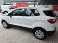Ford EcoSport 1,0 EcoBoost Trend Weiß - thumbnail 4