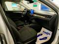Ford Focus 5p. 1.5 Ecoblue 120cv Active Argento - thumbnail 13