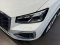 Audi Q2 Q2 30 TFSI admired Q²UIT! Edition Weiß - thumbnail 4