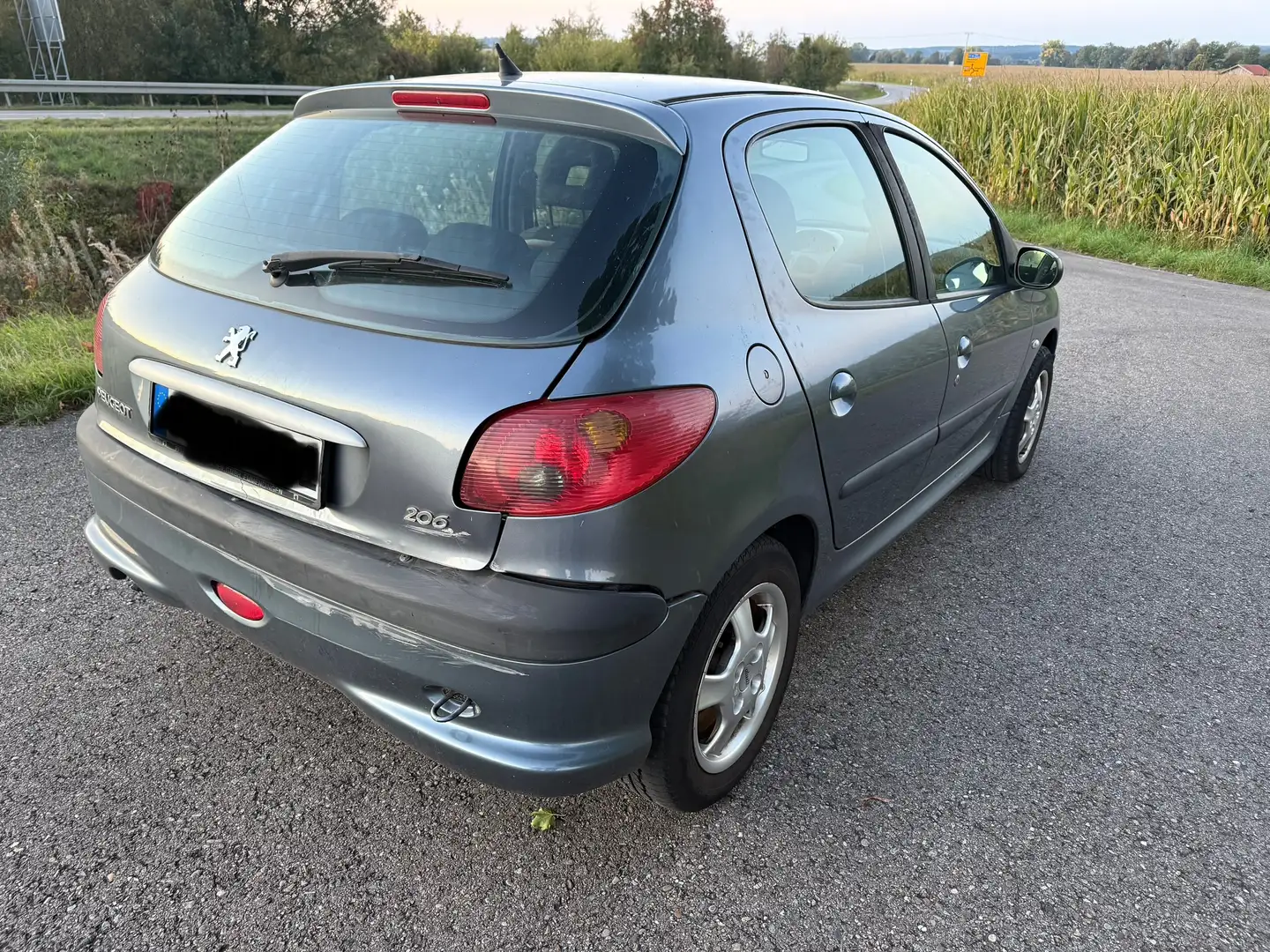 Peugeot 206 Grand Filou Cool Grau - 2