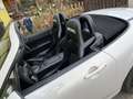 Mazda MX-5 Revolution - thumbnail 6