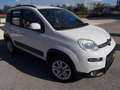Fiat Panda Cross 1.3 MJT 95 CV S&S 4x4 Blanc - thumbnail 5