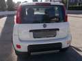 Fiat Panda Cross 1.3 MJT 95 CV S&S 4x4 Blanc - thumbnail 3