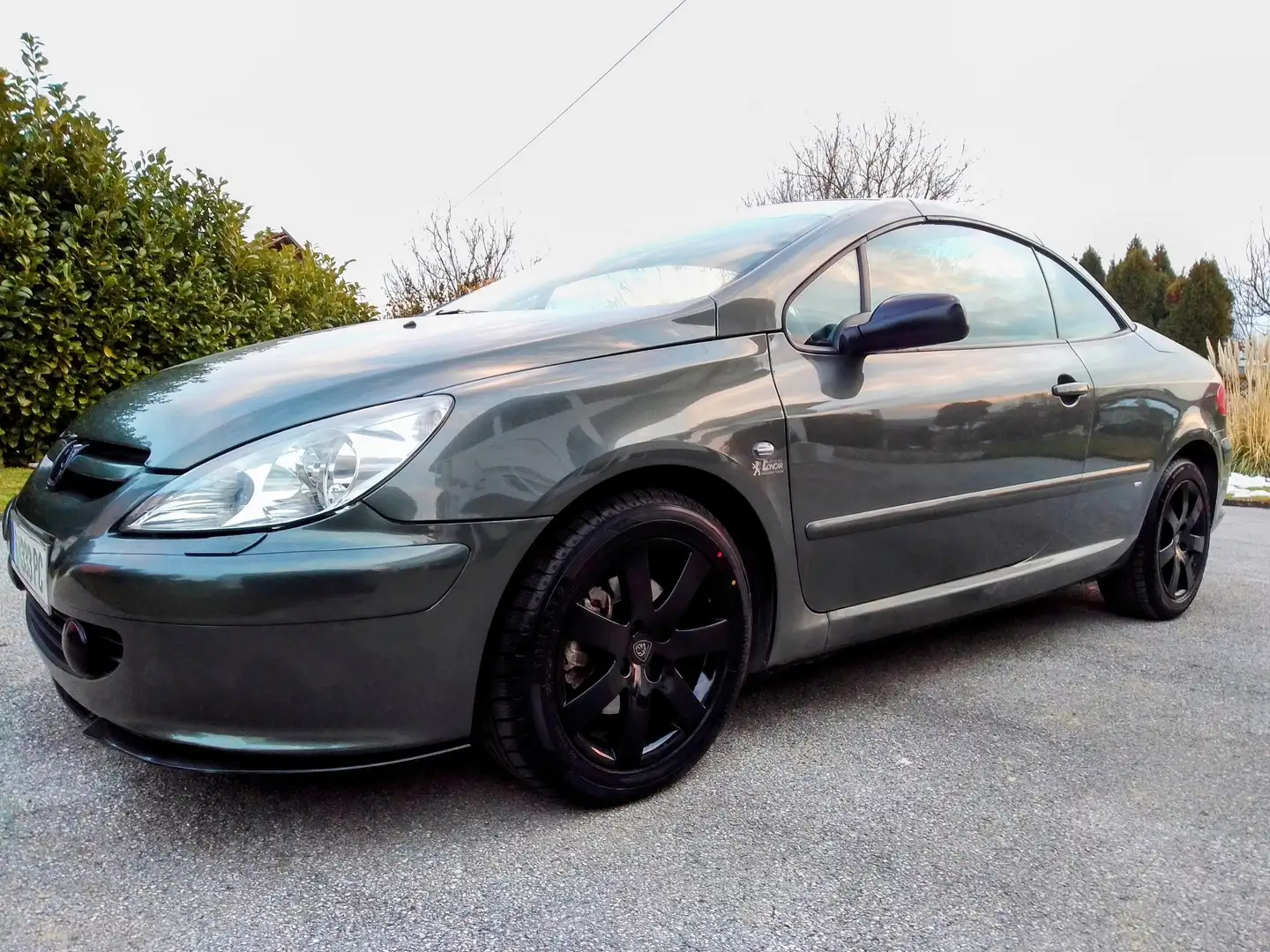 Peugeot 307 CC 1,6 16V - 2