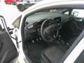 Ford Fiesta ST-Line 1,0 EcoBoost Start/Stop Weiß - thumbnail 11