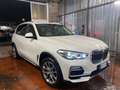 BMW X5 xDrive30d xLine SPORT Bianco - thumbnail 7
