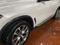 BMW X5 xDrive30d xLine SPORT Bianco - thumbnail 2
