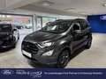 Ford EcoSport ST-Line 125PS B&O Sound-System / Rückfahrkamera Grau - thumbnail 1