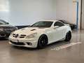Mercedes-Benz SLK 55 AMG SLK 55 AMG UNICA ! Weiß - thumbnail 7