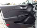 Ford Puma 1.0 EcoBoost 125PS Mild-Hybrid TITANIUM Grau - thumbnail 13