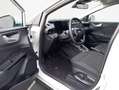 Ford Puma 1.0 EcoBoost 125PS Mild-Hybrid TITANIUM Grau - thumbnail 7