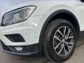 Volkswagen Tiguan Comfortline 2.0 TSI 4MOTION DSG Tempomat Weiß - thumbnail 7