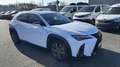 Lexus UX 250h 250H 4WD F SPORT EXECUTIVE MY19 - thumbnail 13