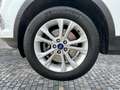 Ford Kuga TITANIUM 4x4 Automatik+Navi+Winterpaket Blanc - thumbnail 21